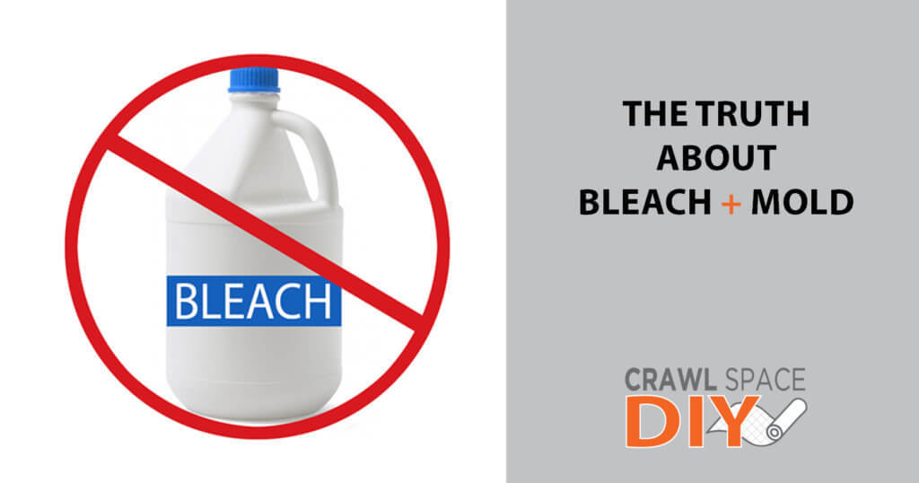 The Truth About Bleach & Mold